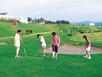 フィールドボール