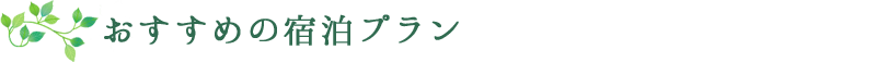 おすすめの宿泊プラン